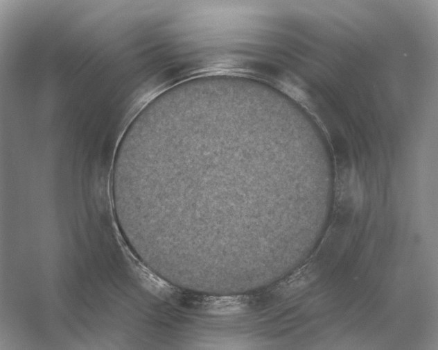 X0000056341338200509161726