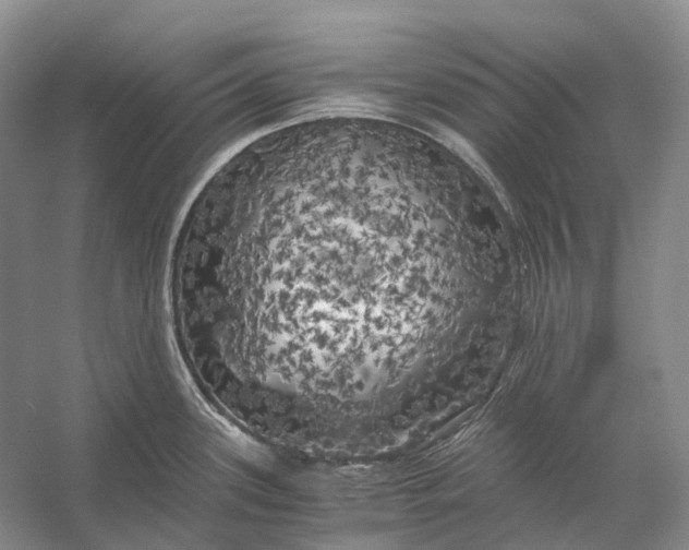 X0000056341339200509161726