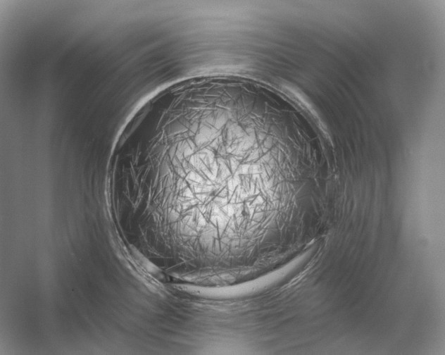 X0000056341340200509161726