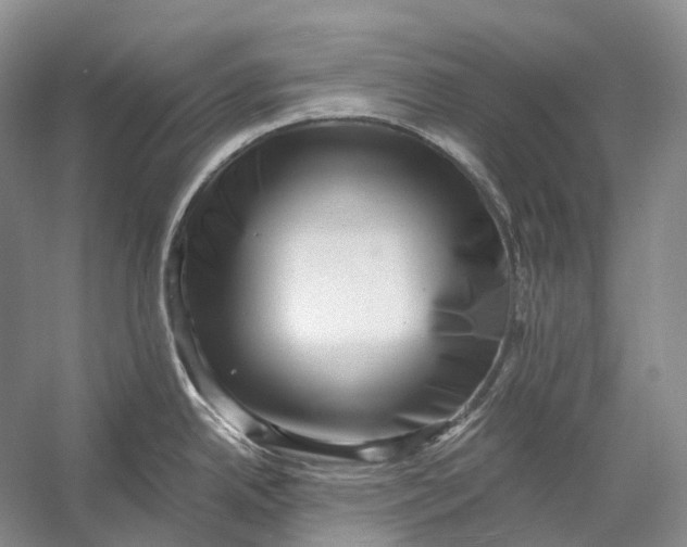X0000056341342200509161726