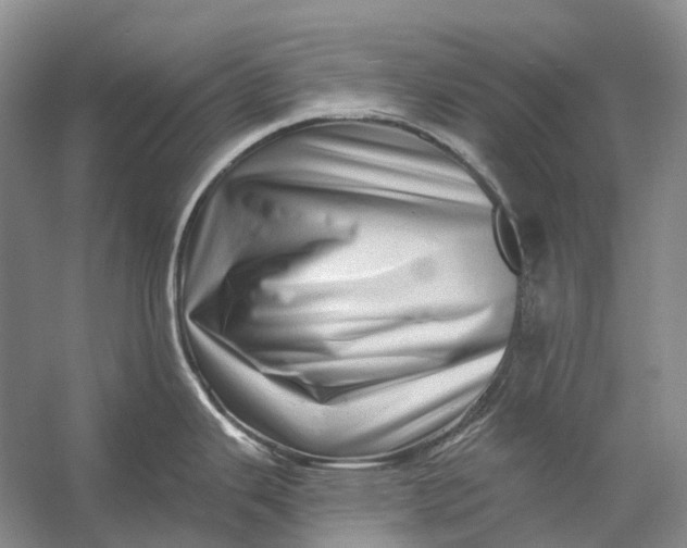 X0000056341343200509161726