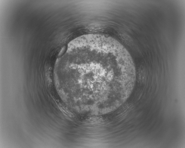 X0000056341346200509161725
