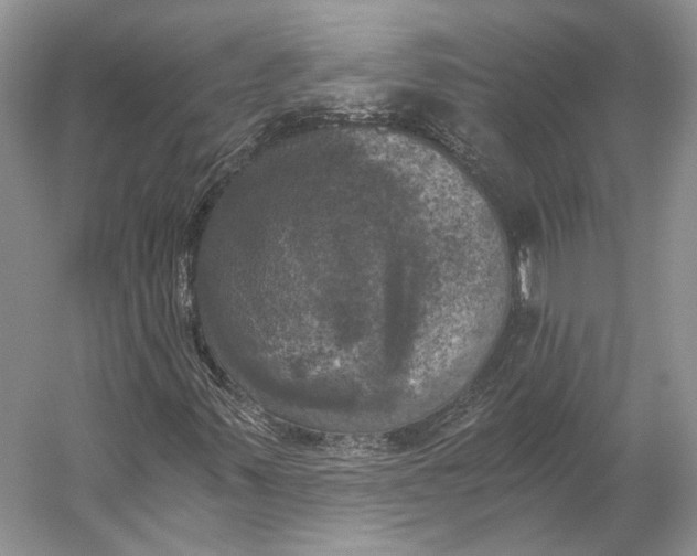 X0000056341347200509161725
