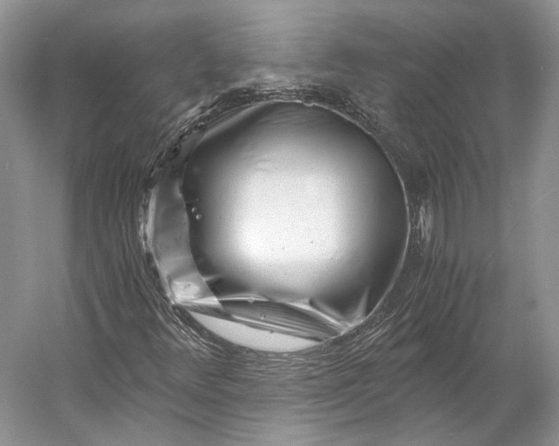 X0000056341348200509161725