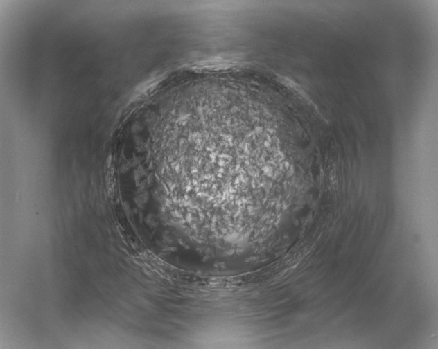 X0000056341350200509161725