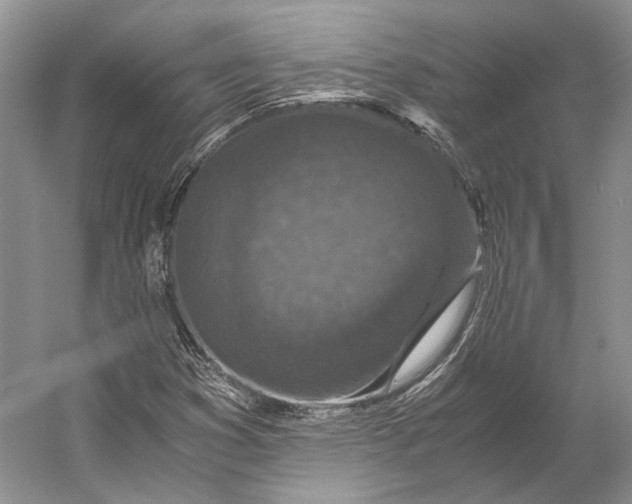 X0000056341353200509161725