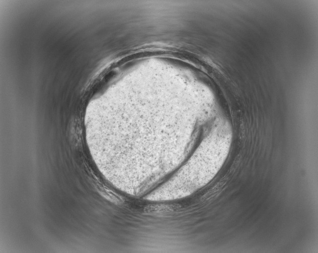 X0000056341355200509161725