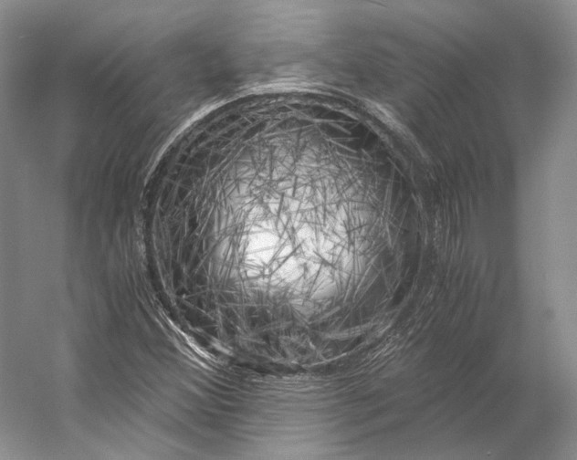 X0000056341356200509161725