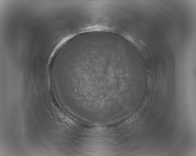 X0000056341358200509161725