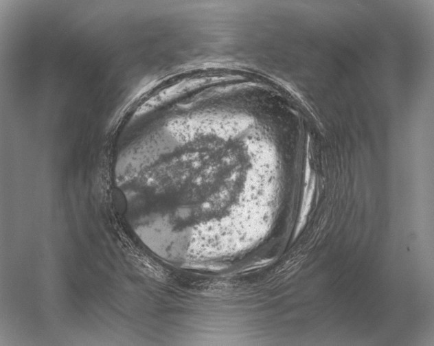 X0000056341359200509161725