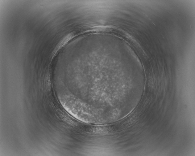 X0000056341362200509161725
