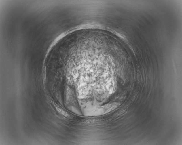 X0000056341366200509161724