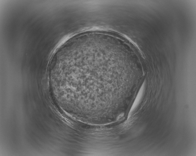 X0000056341367200509161724