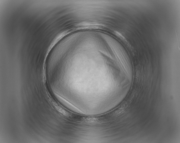 X0000056341370200509161724