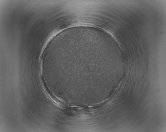 X0000056341371200509161724