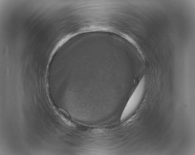 X0000056341373200509161724