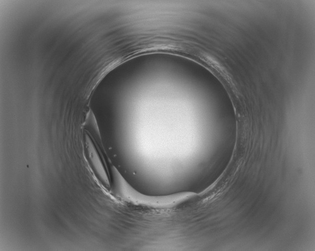 X0000056341377200509161724