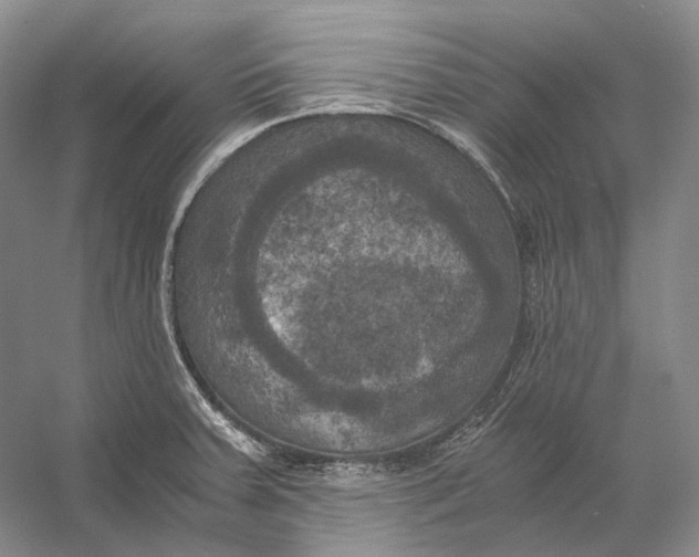 X0000056341379200509161724