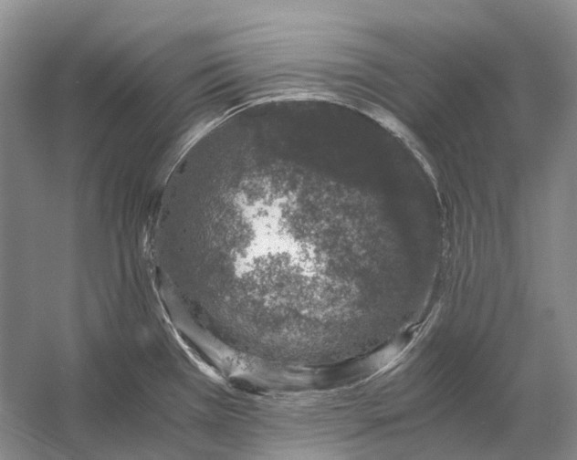 X0000056341385200509161724