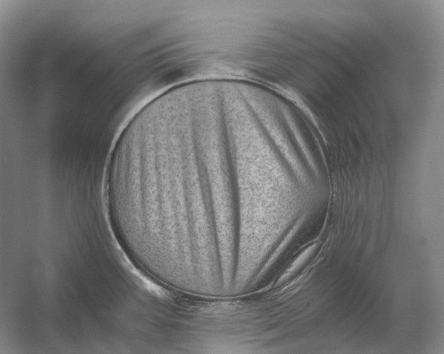 X0000056341387200509161724
