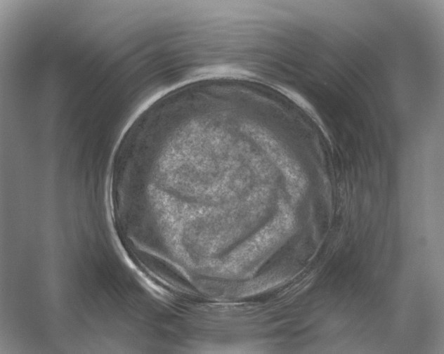 X0000056341391200509161724