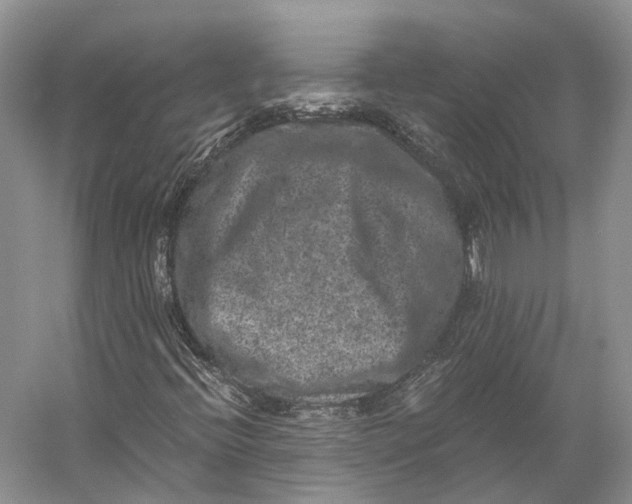X0000056341396200509161723