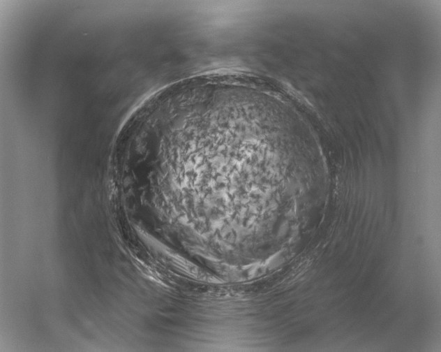 X0000056341400200509161723