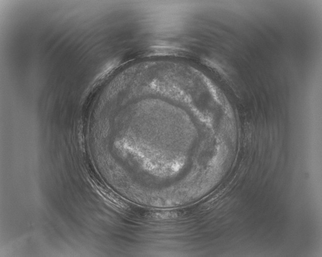 X0000056341403200509161723