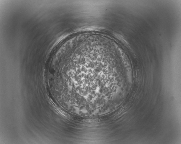 X0000056341404200509161723