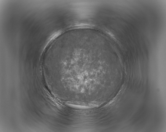 X0000056341405200509161723
