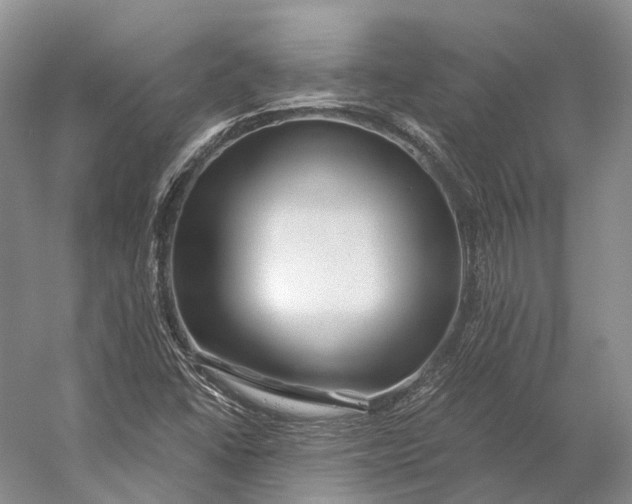 X0000056341406200509161723