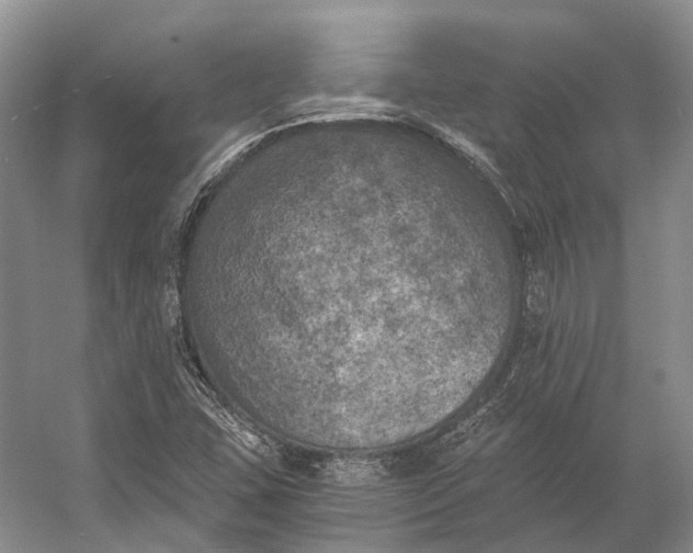 X0000056341407200509161723