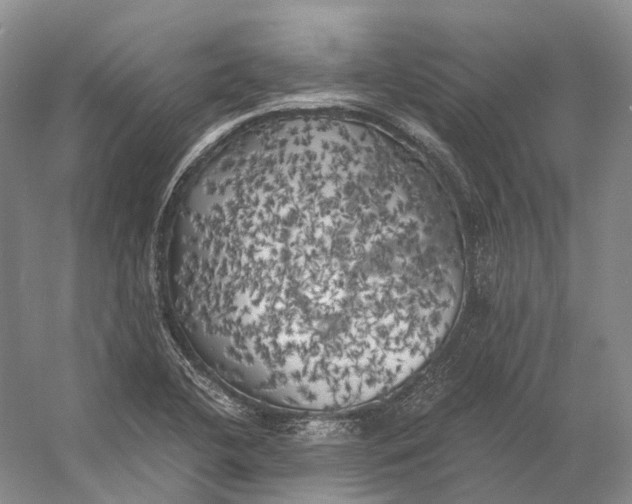 X0000056341412200509161724