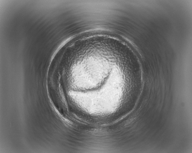 X0000056341418200509161724