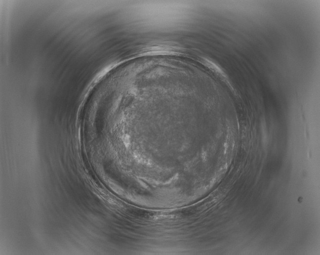 X0000056341419200509161724