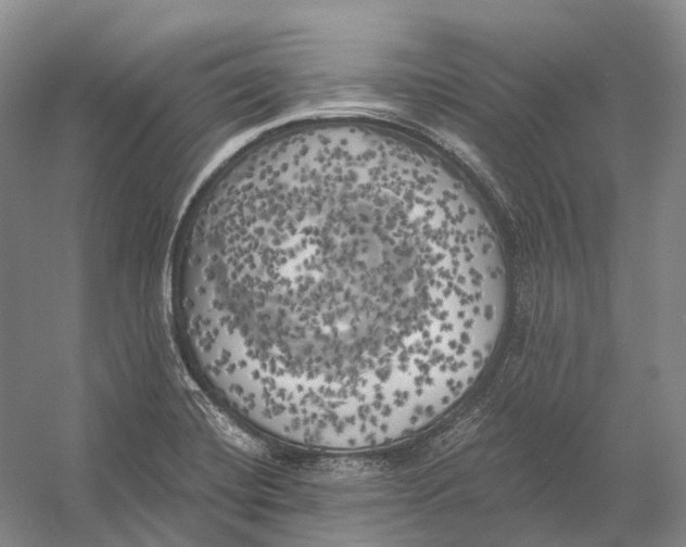 X0000056341420200509161724