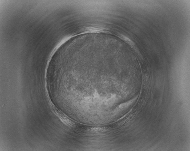 X0000056341427200509161724