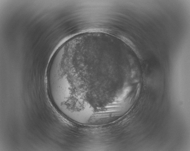 X0000056341428200509161724