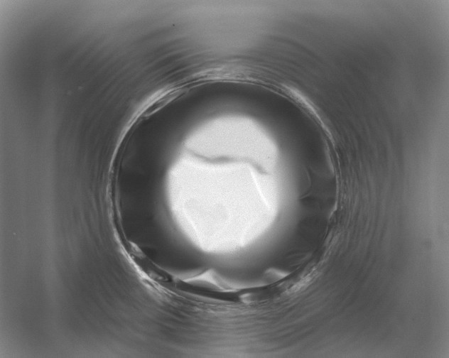 X0000056341434200509161724