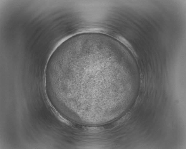 X0000056341436200509161724