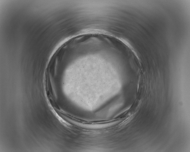 X0000056341438200509161724