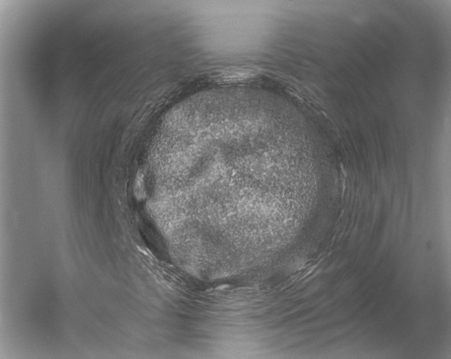 X0000056341441200509161723