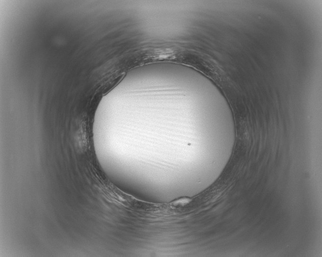 X0000056341442200509161723