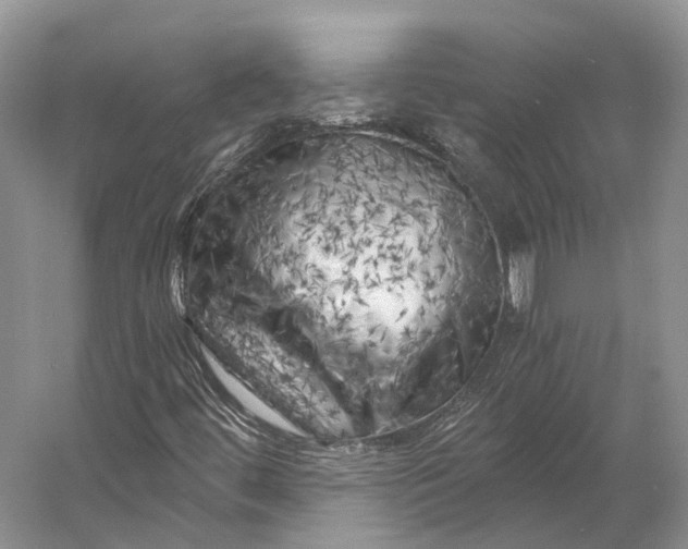 X0000056341444200509161723