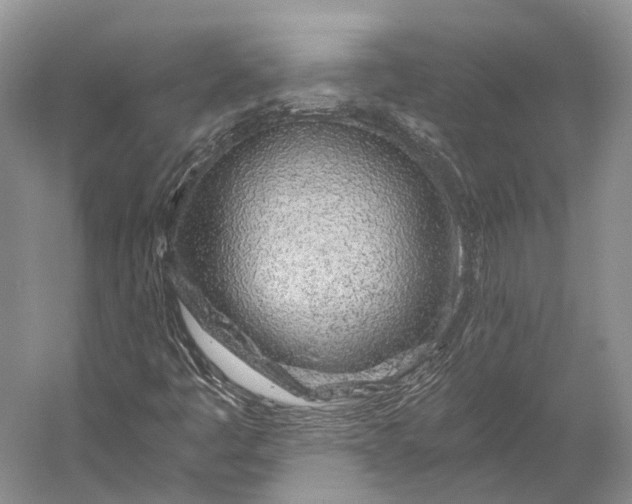 X0000056341445200509161723