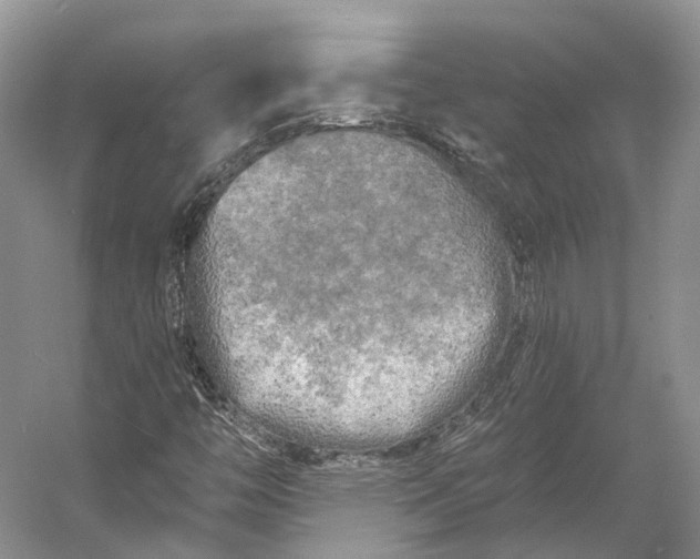 X0000056341446200509161723