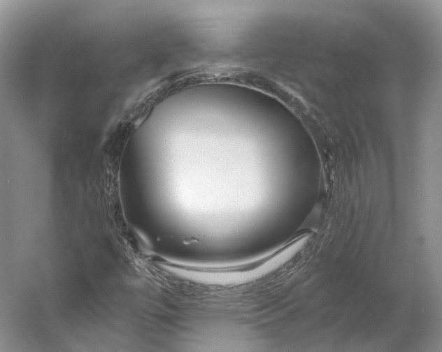 X0000056341447200509161723