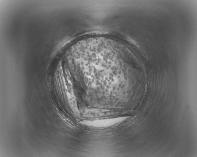 X0000056341448200509161723