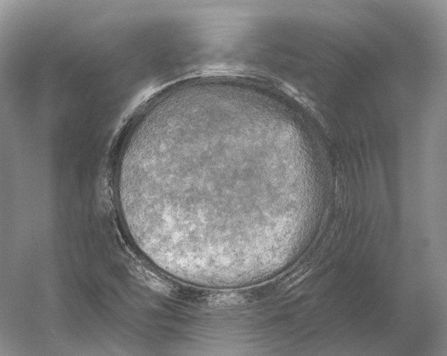 X0000056341454200509161723