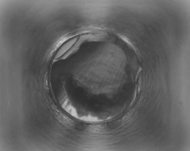 X0000056341455200509161723